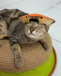 Làm thế nào có được kết quả học tập tốt nhất?